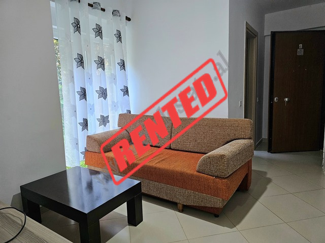 Apartament 1+1 me qira ne rrugen Hamdi Sina ne zonen e Liqenit te Thate ne Tirane.
Pozicionohet ne 